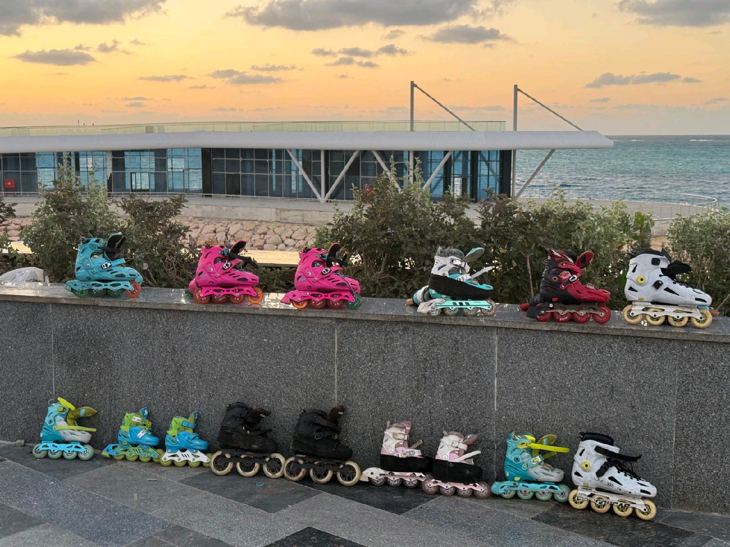 تدريب وإيجار اسكيت وبتناچ